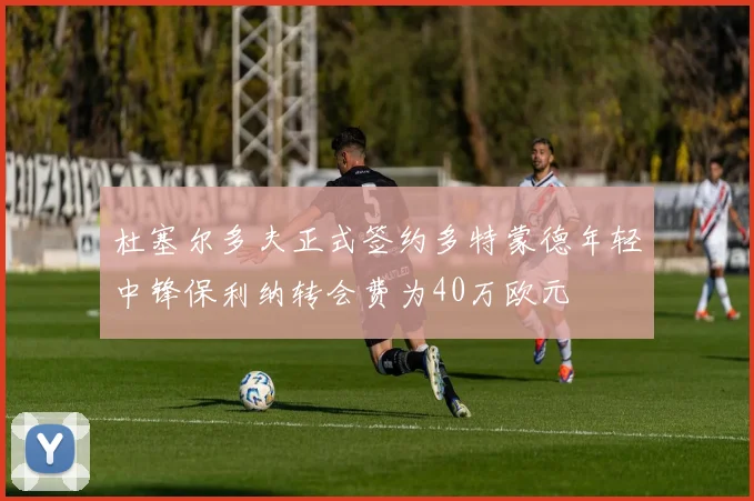 杜塞尔多夫正式签约多特蒙德年轻中锋保利纳转会费为40万欧元