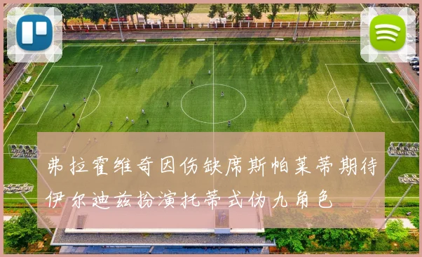 弗拉霍维奇因伤缺席斯帕莱蒂期待伊尔迪兹扮演托蒂式伪九角色