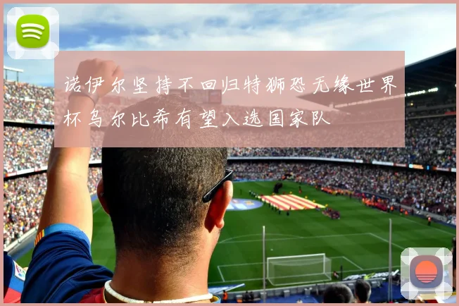诺伊尔坚持不回归特狮恐无缘世界杯乌尔比希有望入选国家队