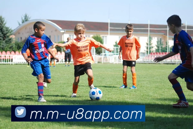 U8国际平台生态图